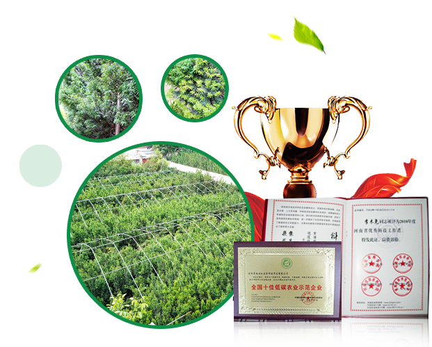 四大優(yōu)勢(shì)